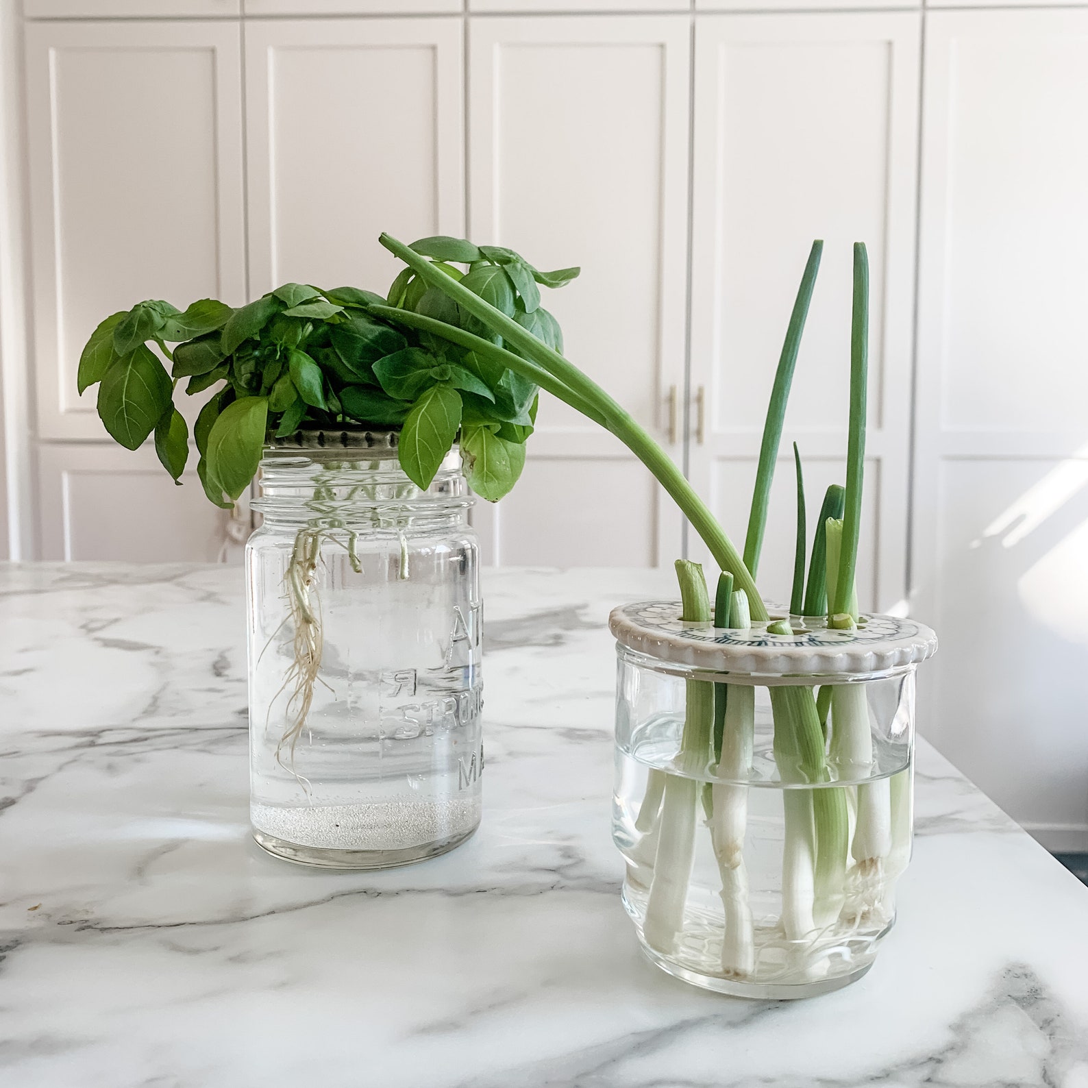 Handmade Pottery Mason Jar Topper, Propagation Station Organization