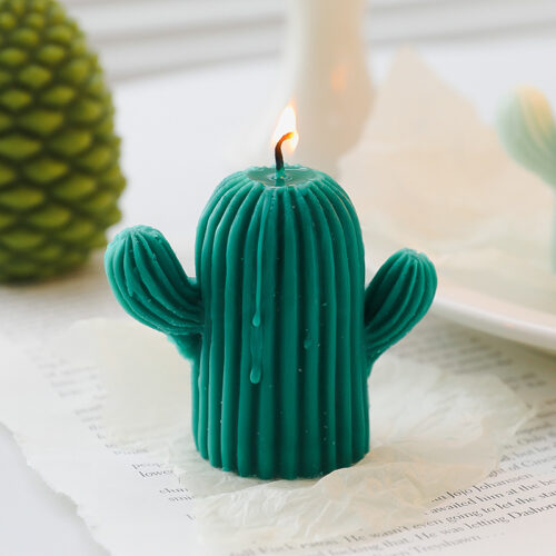 Home Decorative Cactus Scented Candles